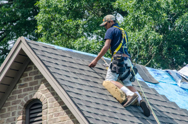 Professional Roofing Contractor in Gold Canyon, AZ